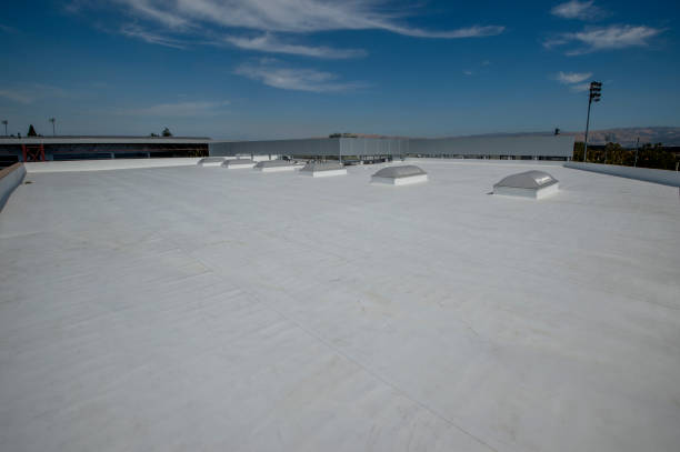 Best Sheet Metal Roofing  in Bronson, MI
