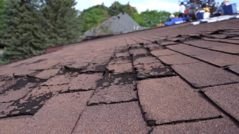 Best Roof Ventilation Installation  in Bronson, MI