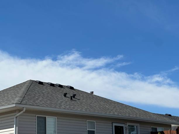 Best Roof Coating and Sealing  in Bronson, MI